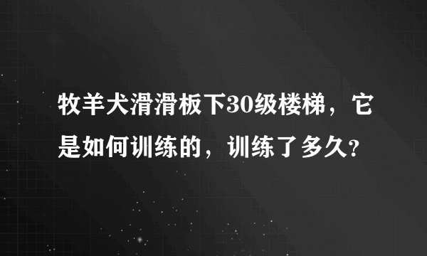 牧羊犬滑滑板下30级楼梯，它是如何训练的，训练了多久？