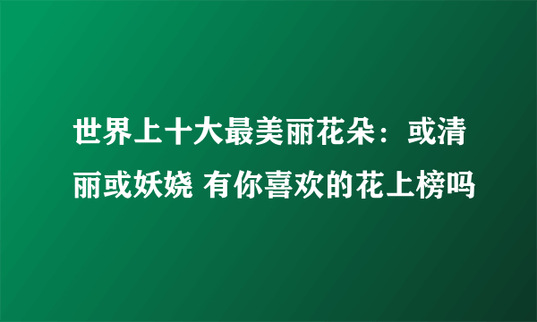 世界上十大最美丽花朵：或清丽或妖娆 有你喜欢的花上榜吗