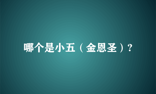 哪个是小五（金恩圣）?