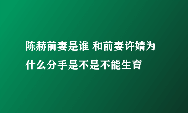 陈赫前妻是谁 和前妻许婧为什么分手是不是不能生育