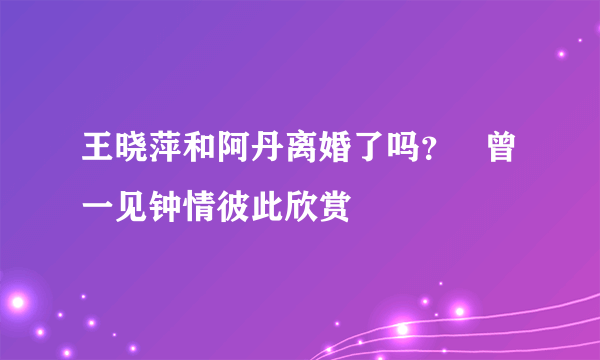 王晓萍和阿丹离婚了吗？   曾一见钟情彼此欣赏