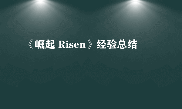 《崛起 Risen》经验总结