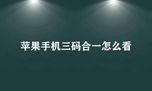 苹果手机三码合一怎么看