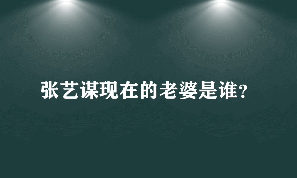 张艺谋现在的老婆是谁？