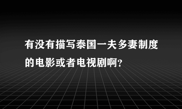 有没有描写泰国一夫多妻制度的电影或者电视剧啊？