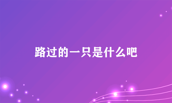 路过的一只是什么吧