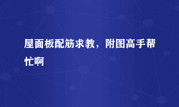 屋面板配筋求教，附图高手帮忙啊