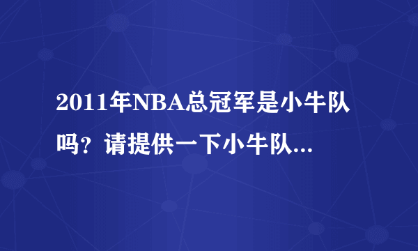 2011年NBA总冠军是小牛队吗？请提供一下小牛队各队员的详细资料！