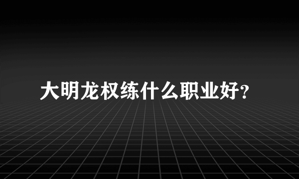 大明龙权练什么职业好？