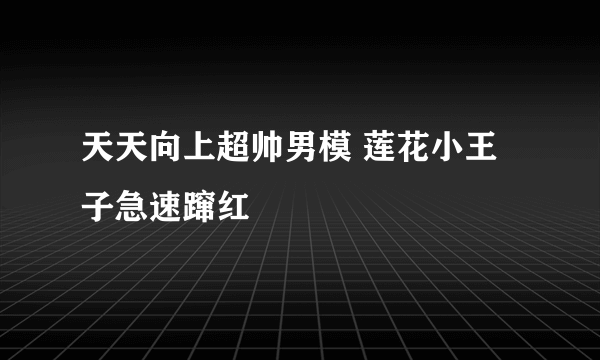 天天向上超帅男模 莲花小王子急速蹿红