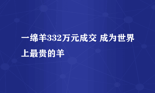 一绵羊332万元成交 成为世界上最贵的羊