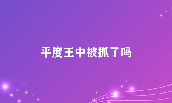 平度王中被抓了吗