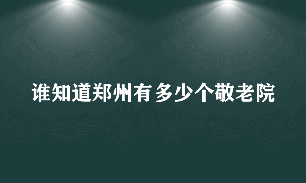 谁知道郑州有多少个敬老院