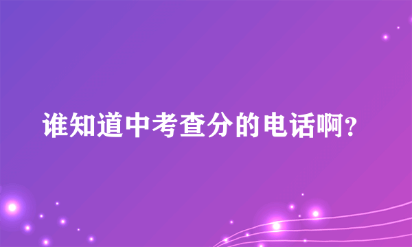 谁知道中考查分的电话啊？