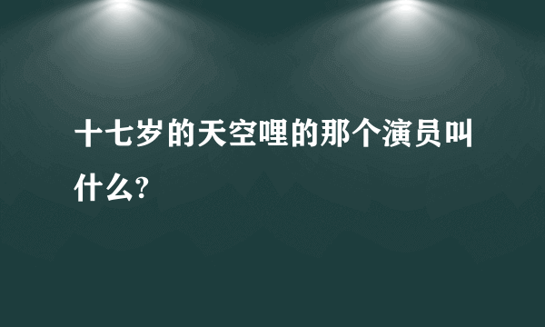 十七岁的天空哩的那个演员叫什么?