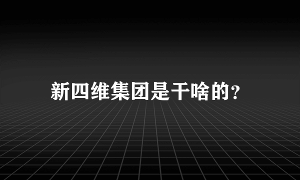 新四维集团是干啥的？