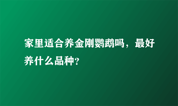 家里适合养金刚鹦鹉吗，最好养什么品种？