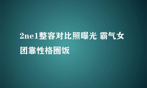 2ne1整容对比照曝光 霸气女团靠性格圈饭