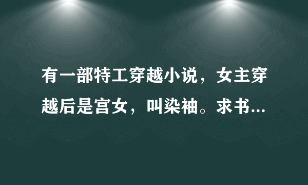 有一部特工穿越小说，女主穿越后是宫女，叫染袖。求书名（女主是特工）