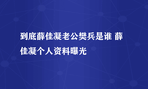 到底薛佳凝老公樊兵是谁 薛佳凝个人资料曝光