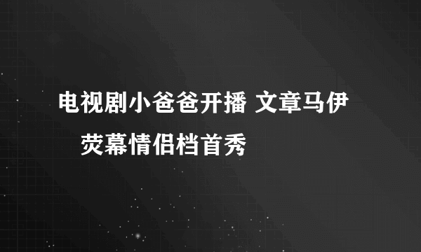 电视剧小爸爸开播 文章马伊琍荧幕情侣档首秀