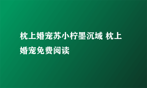 枕上婚宠苏小柠墨沉域 枕上婚宠免费阅读