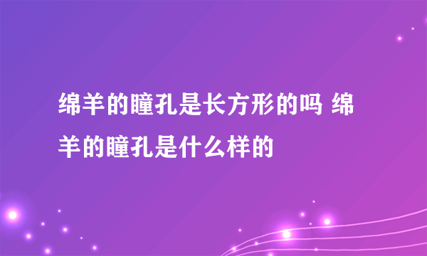 绵羊的瞳孔是长方形的吗 绵羊的瞳孔是什么样的