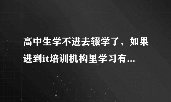 高中生学不进去辍学了，如果进到it培训机构里学习有希望找到工作吗？