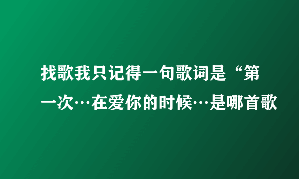 找歌我只记得一句歌词是“第一次…在爱你的时候…是哪首歌