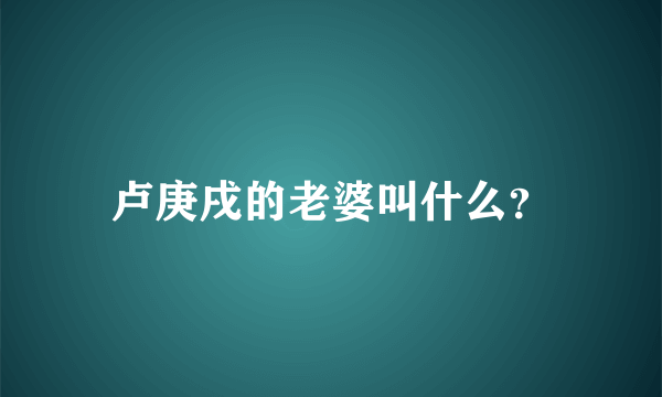 卢庚戌的老婆叫什么？