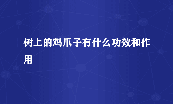 树上的鸡爪子有什么功效和作用