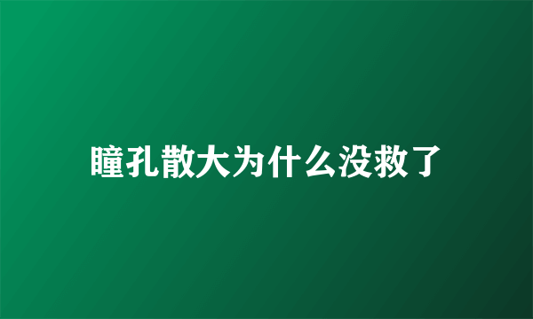 瞳孔散大为什么没救了