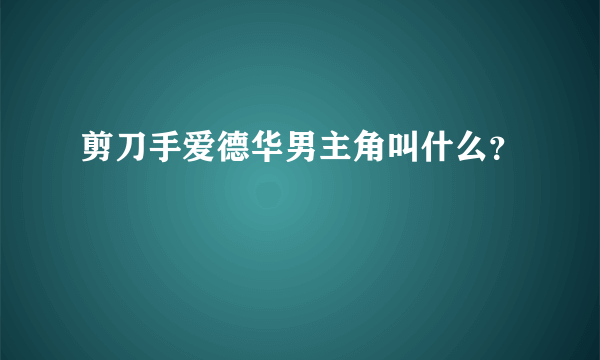 剪刀手爱德华男主角叫什么？