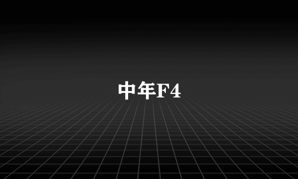 中年F4