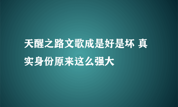 天醒之路文歌成是好是坏 真实身份原来这么强大