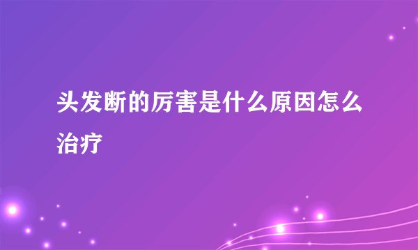 头发断的厉害是什么原因怎么治疗