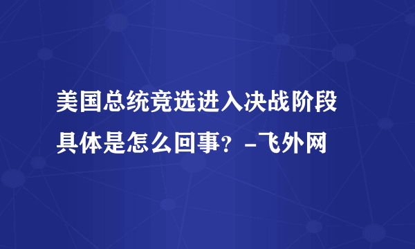 美国总统竞选进入决战阶段 具体是怎么回事？-飞外网