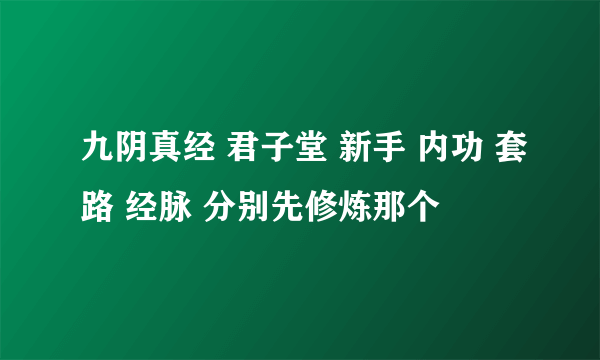 九阴真经 君子堂 新手 内功 套路 经脉 分别先修炼那个