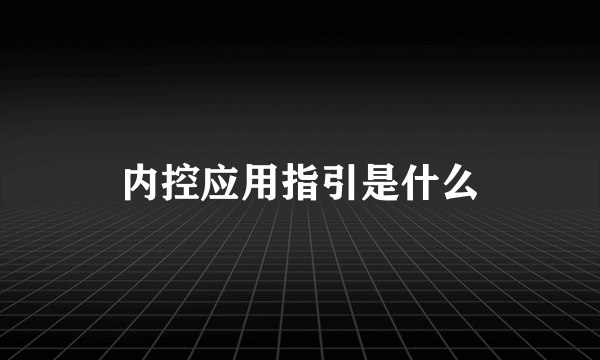 内控应用指引是什么