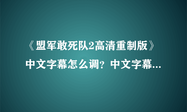 《盟军敢死队2高清重制版》中文字幕怎么调？中文字幕设置方法介绍