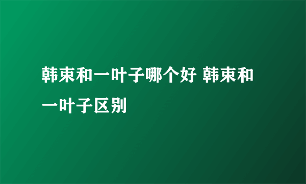 韩束和一叶子哪个好 韩束和一叶子区别