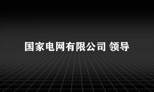 国家电网有限公司 领导