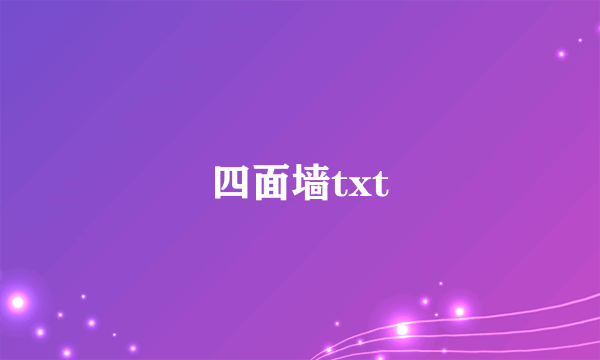 四面墙txt