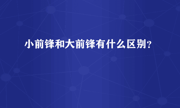 小前锋和大前锋有什么区别？