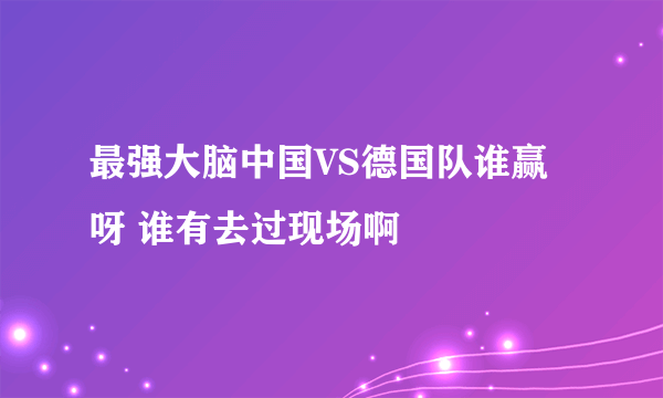 最强大脑中国VS德国队谁赢呀 谁有去过现场啊