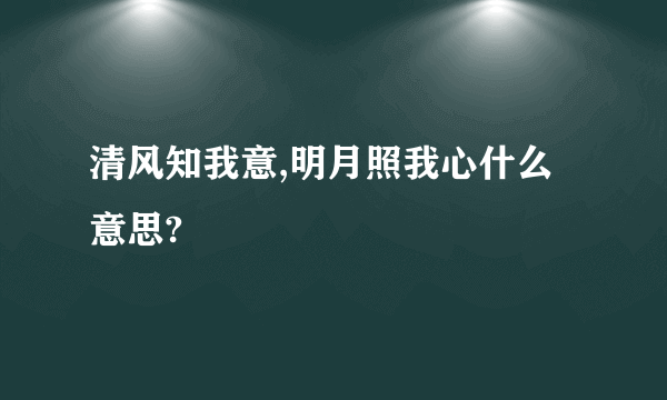 清风知我意,明月照我心什么意思?