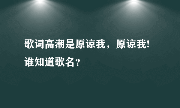 歌词高潮是原谅我，原谅我!谁知道歌名？