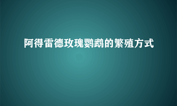 阿得雷德玫瑰鹦鹉的繁殖方式