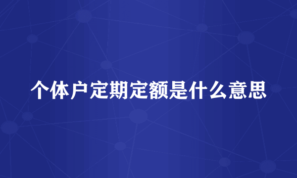 个体户定期定额是什么意思