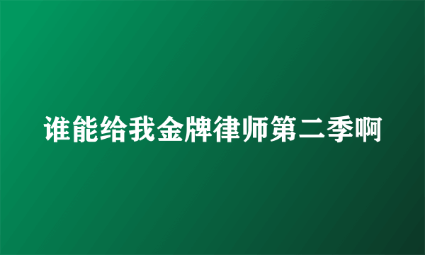 谁能给我金牌律师第二季啊